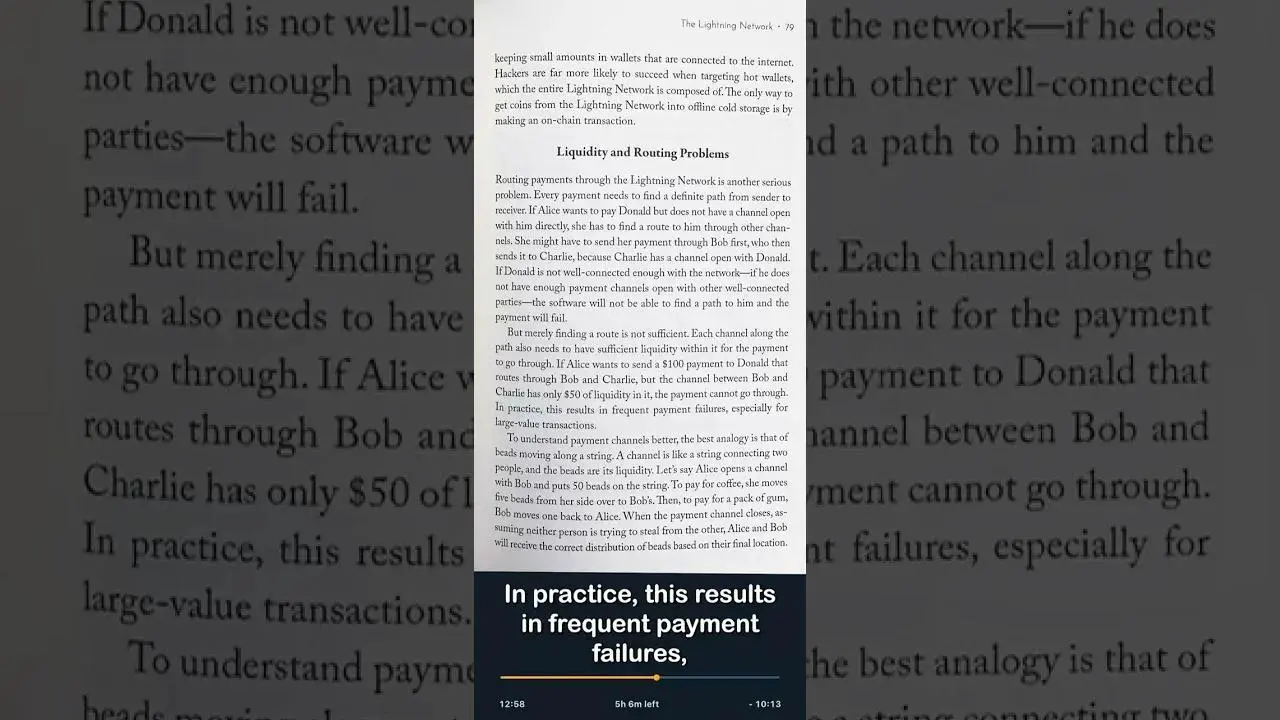 Why the Bitcoin Lightning Network is doomed to centralization & failure. [Hijacking Bitcoin, Chap 9]