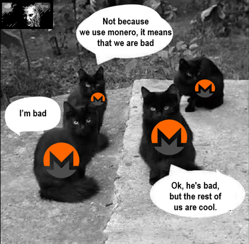 4 monero cats